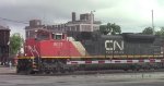 CN A431